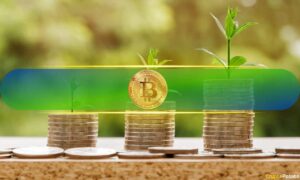 Bitcoin Accumulation Patterns Show Late-Stage Cycle Maturity, Not Definite End: CryptoQuant