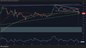 Key XRP Support Levels to Watch If Another Crash Occurs