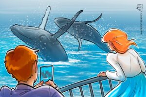 Crypto Whales Increase Buying as Bitcoin Drops and Market Fear Rises