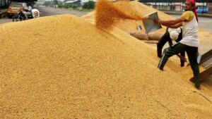 US-Bangladesh billion dollar deal to impact Indian soyameal exports