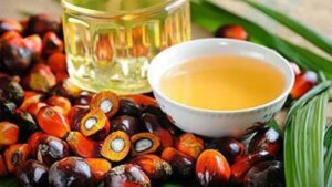 India’s palm oil imports hit 5-year low as soyoil purchases surge to record