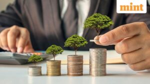 Small-cap stock under ₹50 extends post-Q2 results 2025 rally. Rises 11% in three days