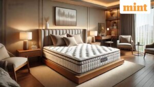 Wakefit IPO opens on December 8 — From key dates to offer details; here are 10 things to know from RHP